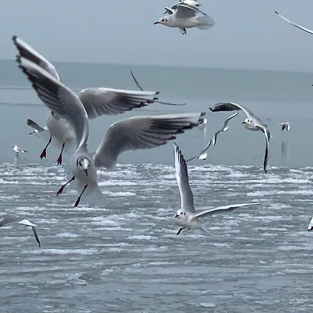Varhegy Vendeghaz Fonyód